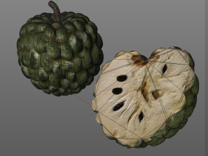 sugar apple annona fruit Model 3D