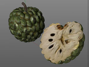 frutto dell'annona di mela zuccherata Modello 3D