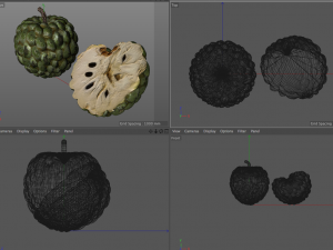 sugar apple annona fruit Model 3D