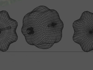 surinam cherry fruit 3D Model