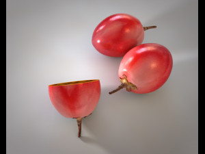 tamarillo fruit 3D Модель