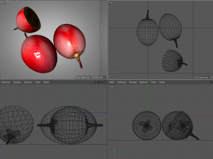 tamarillo fruit 3D Модель