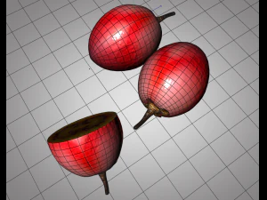 tamarillo fruit 3D Model