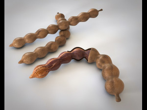 tamarind fruit 3D Model