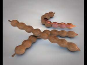 tamarind fruit 3D Model