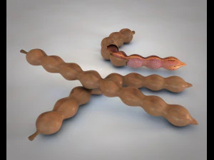 плоди тамаринда 3D Модель