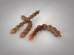 tamarind fruit 3D Model