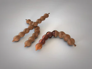 плоди тамаринда 3D Модель