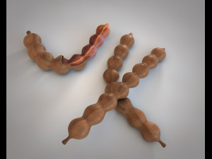 tamarind fruit 3D Model