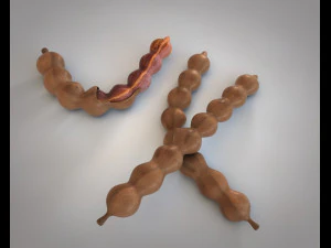 плоди тамаринда 3D Модель