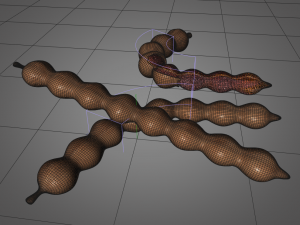tamarind fruit 3D Model