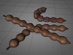 плоди тамаринда 3D Модель