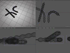 плоди тамаринда 3D Модель