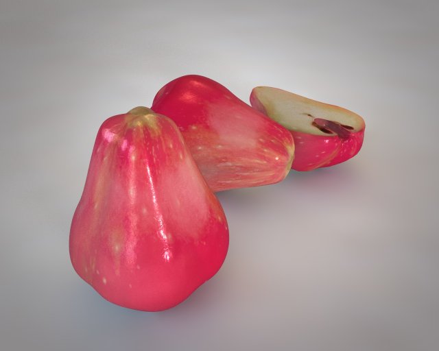 water apple fruit 3D 모델 .c4d .max .obj .3ds .fbx .stl .blend 