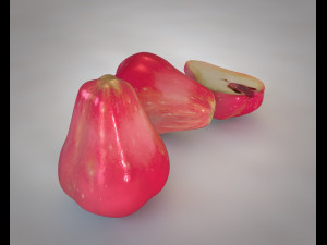 water apple fruit 3D Model