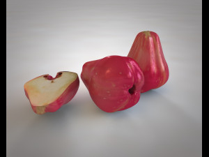 water apple fruit 3D 모델