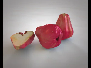 water apple fruit 3D Model