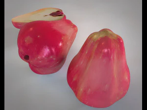 water apple fruit 3D Model