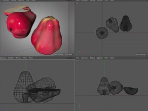 water apple fruit 3D Model