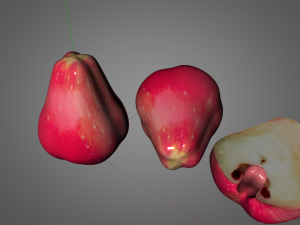 water apple fruit 3D 모델