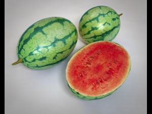 watermelon fruit 3D Model