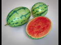 Watermelon Fruit 3D-Modell