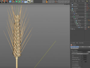 wheat 3D Model