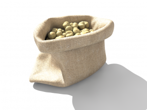 sack of potatoes 3D 모델