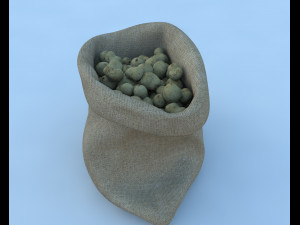 sack of potatoes 3D 모델