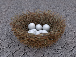 bird nest with eggs 3D Модель