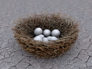 bird nest with eggs Modelo 3D
