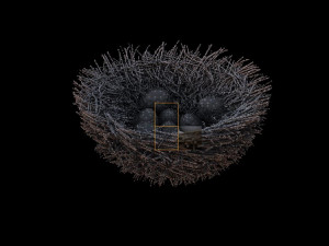 bird nest with eggs Modelo 3D