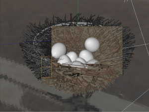 bird nest with eggs Modelo 3D