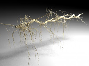 tendril 3D Модель