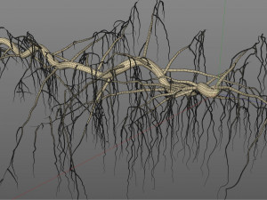 tendril 3D Модель