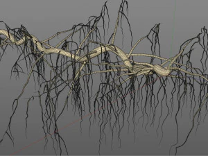tendril 3D Model