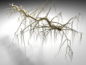 tendril 3D Model