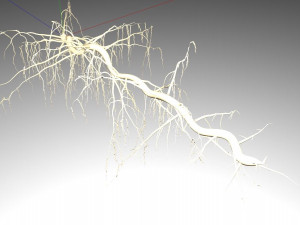 tendril 3D Модель