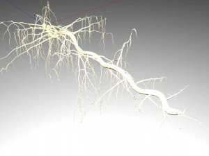 tendril 3D Model
