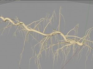 tendril 3D Модель
