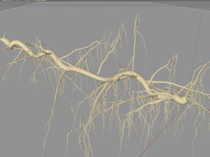 tendril 3D Model
