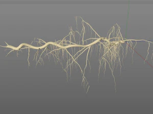 tendril 3D Model