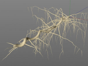 tendril 3D Модель