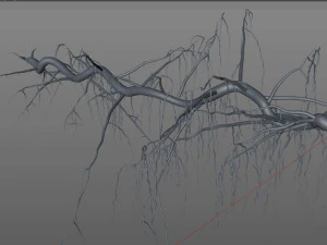 tendril 3D Model