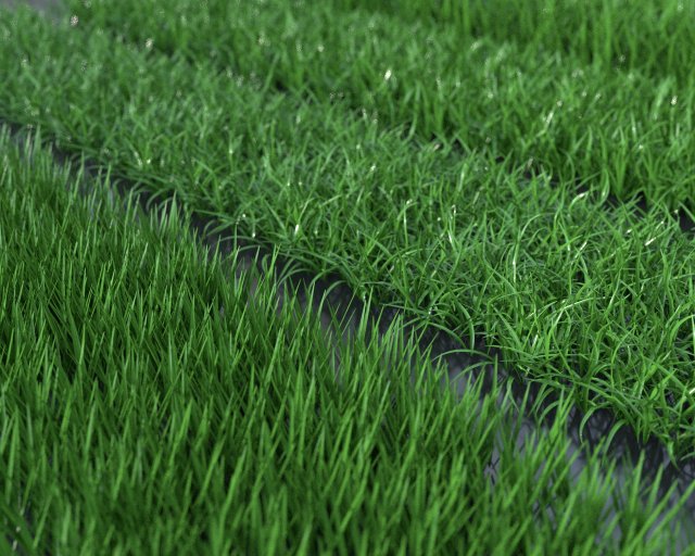 grass pack Modèle 3D .c4d .max .obj .3ds .fbx .stl .blend 