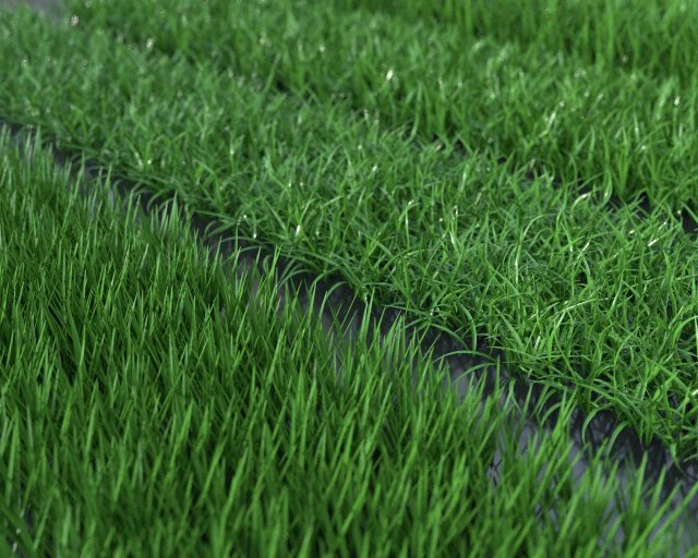 grass pack 3D Model .c4d .max .obj .3ds .fbx .stl .blend 