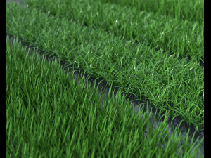 grass pack 3D Модель