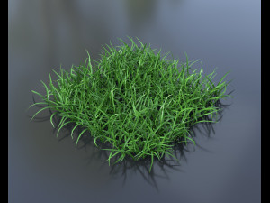 grass pack Modèle 3D