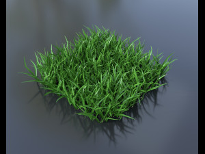 grass pack Modèle 3D