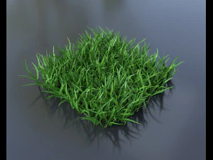 grass pack 3D Model
